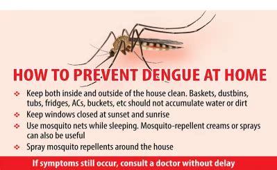 Dengue claims two more lives