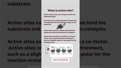 What is active site? | #Biology Notes - YouTube