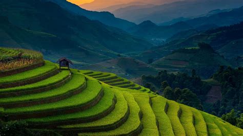 Landscape Photography Of Rice Terraces 4K HD Nature Wallpapers | HD Wallpapers | ID #40305