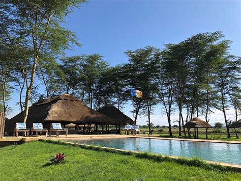 AFRICA SAFARI LAKE MANYARA $94 ($̶1̶4̶3̶) - Prices & Campground Reviews ...