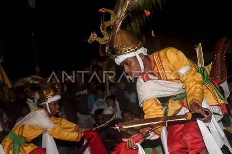 TARI CAKALELE UNTUK BUKA KAMPUNG | ANTARA Foto