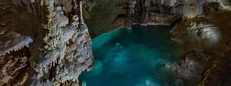 Natural Bridge Caverns + San Antonio Aquarium