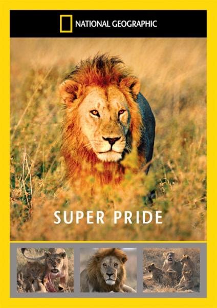 Super Pride: Africas Largest Lion Pride DVD | Zavvi.com