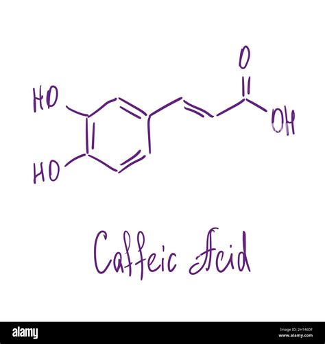 Caffeic acid chemical structure. Vector illustration Hand drawn Stock Vector Image & Art - Alamy