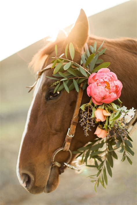 Photographic Print of Horse Adorned With Peony Horse Lover Gifts Horse Wall Art Pet Portrait ...