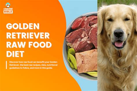 Best Raw Dog Food Diet For Golden Retrievers [Recipes & Guide] - Canine ...