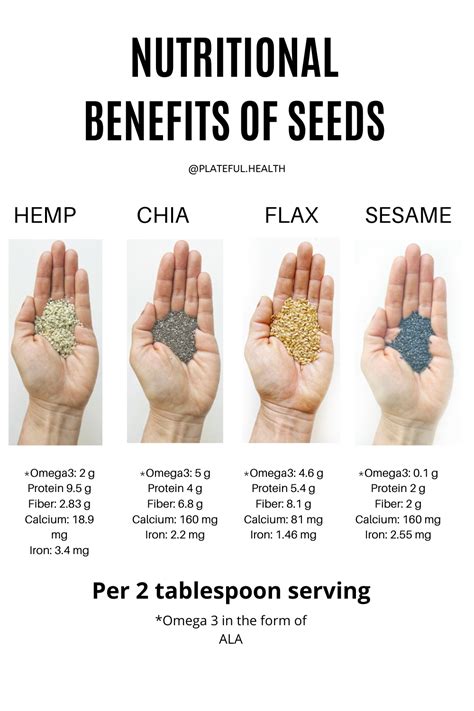 Nutritional Benefits of Seeds | Seeds to Eat | Nutrition Tips | Healthy Seeds to Eat | Omega3 ...