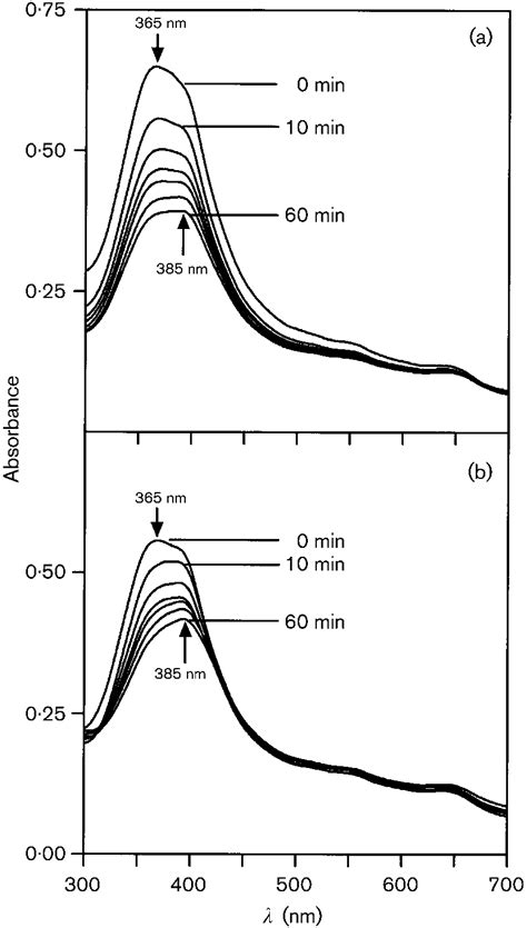 Changes in the iron(III) protoporphyrin IX spectra during incubation of... | Download Scientific ...