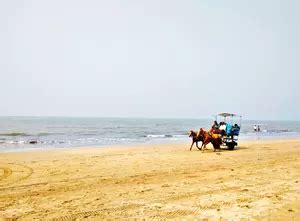 Kihim Beach Road, Kihim, India: View Images, Timing and Reviews | Tripoto