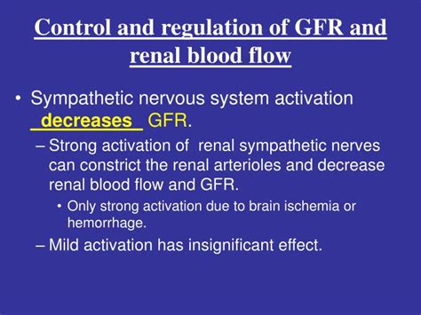 PPT - Control and regulation of GFR and renal blood flow PowerPoint Presentation - ID:3583393