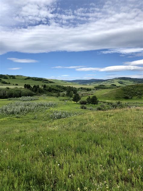 Prairie - Alberta Prairie Conservation Forum