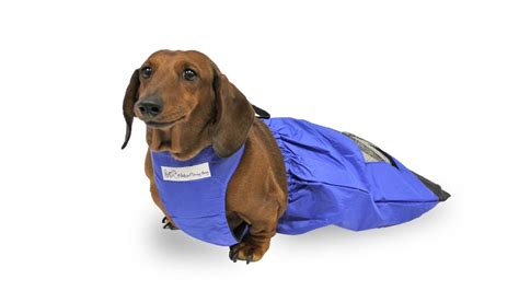 Drag Bag Instructional Video | Pets, Paralyzed dog, Dog wheelchair