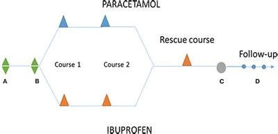 Frontiers | Paracetamol vs. Ibuprofen in Preterm Infants With Hemodynamically Significant Patent ...