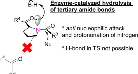 Tertiary Amide