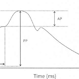 Aortic pulse pressure waveform. | Download Scientific Diagram