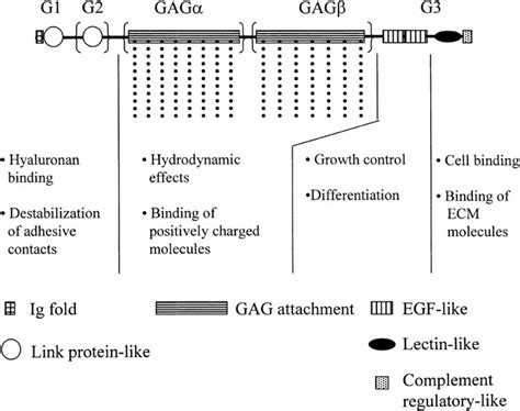 Journal of Cellular Physiology | Cell Biology Journal | Wiley Online Library