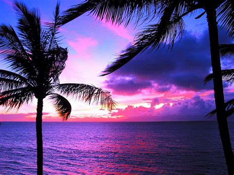 Summer Sunset Beach, Purple Tropical Sunset Beach HD wallpaper | Pxfuel