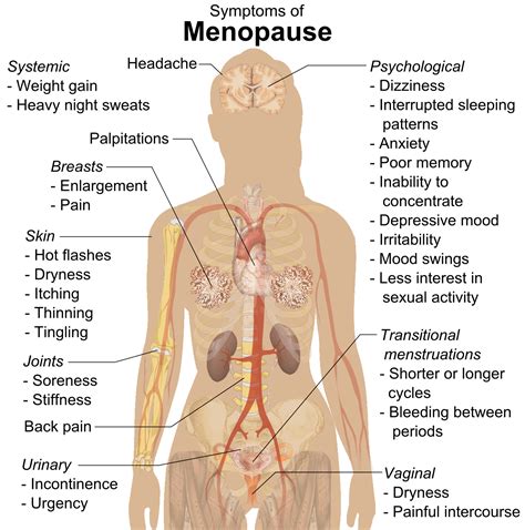 Menopause - almostadoctor