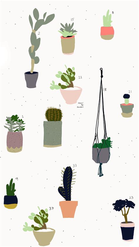 Minimalist Cactus Wallpapers - Top Free Minimalist Cactus Backgrounds ...