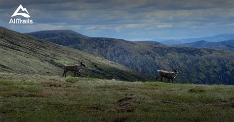 Best Trails near Salcha, Alaska | AllTrails