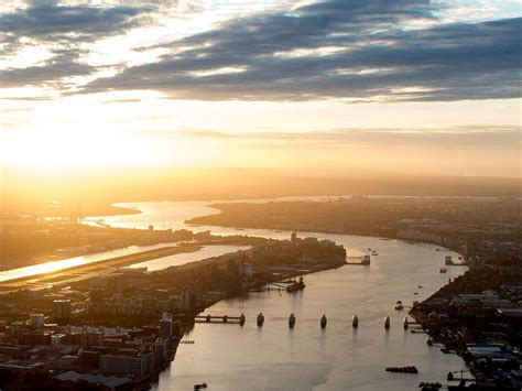 Seahorses and sharks thriving in Thames but climate change a threat ...