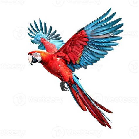 Scarlet macaw parrot flying 24724948 PNG