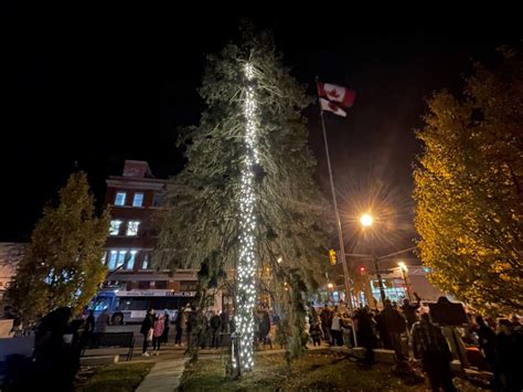 Jimmy Fallon pokes fun at Orillia's Christmas tree-lighting fiasco - Barrie News