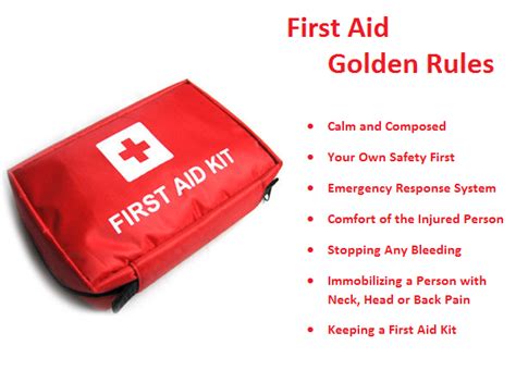 7 Golden Rules for Administering First Aid in 2024