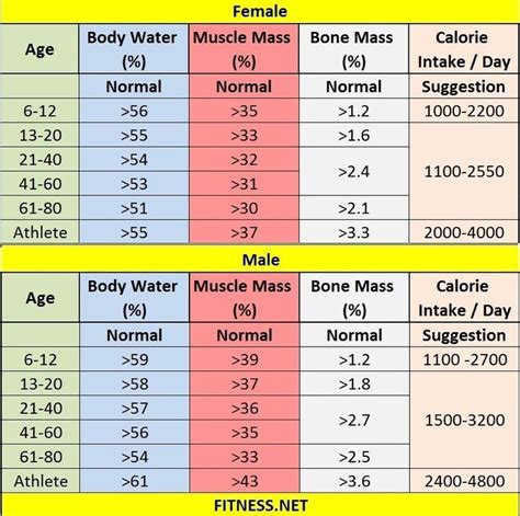 Image result for body composition chart | Body fat percentage chart ...