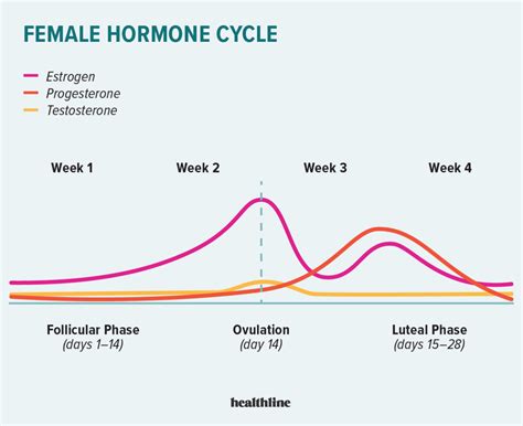 The Role of Adrenal Fatigue in Female Hormone Imbalances