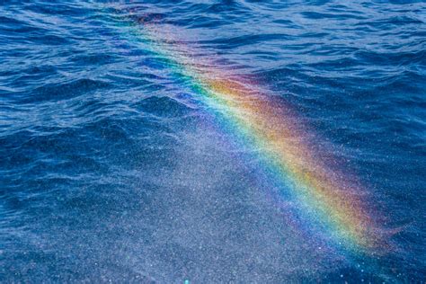 Water Spray Rainbow Free Stock Photo - Public Domain Pictures