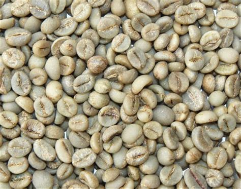 Jual Biji kopi robusta kering sortir berat 1kg harap hubungi sebelum ...