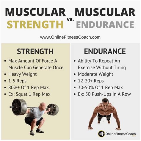 Muscular Strength And Muscular Endurance | Endurance workout, Muscular strength, Strength workout