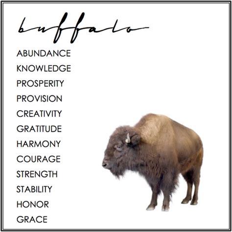 BUFFALO SYMBOLISM | Animal totem spirit guides, Animal symbolism ...