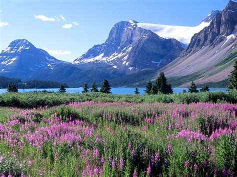 Mountains, lake and meadow. Wonderful Places, Great Places, Places To See, Beautiful Places ...