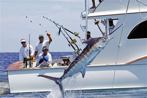 2024 Big Rock Blue Marlin Tournament - Berta Celinka