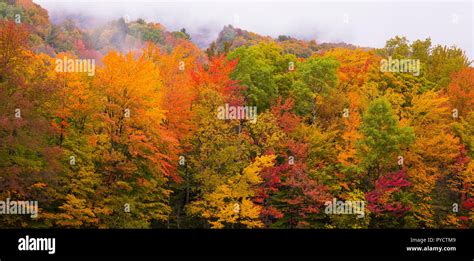 WARREN, VERMONT, USA - Fall foliage in Green Mountains, Mad River ...