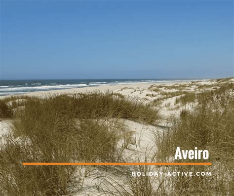 What to visit in Aveiro, the Portuguese Venice | holiday-active.com