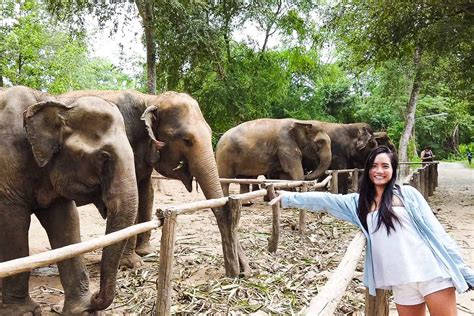 Elephant Haven Kanchanaburi with Private Transport from Bangkok ...