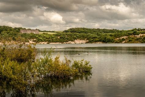 Glebe Lake in Meeth Quarry Nature Reserve, Devon, England. August. Stock Image - Image of ...