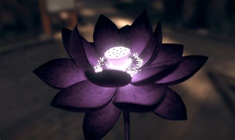 Minimal Lotus Wallpapers - Wallpaper Cave