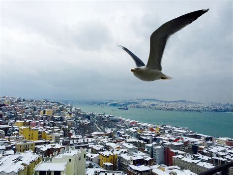 Why You Should Visit Istanbul in the Winter - Passport and Plates