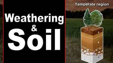 Formation of Soil | Weathering | Weathering and its Various Factors ...