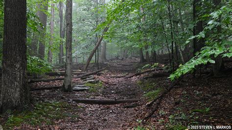 Catoctin Mountain Park | ORANGE TRAIL SOUTH LOOP HIKE