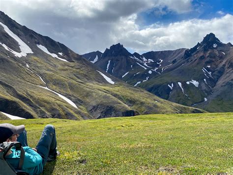 Camping in Denali National Park