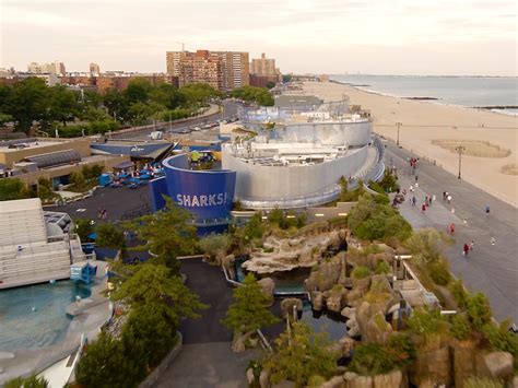 The New York Aquarium is Fully Open, Restored, & Fully Amazing. | New York City, NY Patch