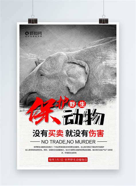 World wildlife day posters template image_picture free download 401006989_lovepik.com