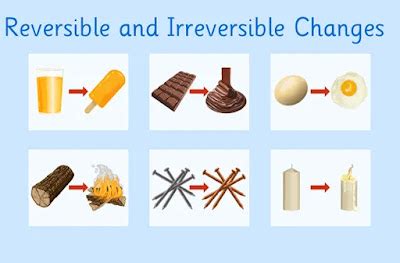 Brain Explorers: Reversible and irreversible changes