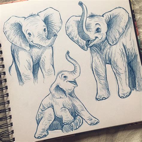 Illustrator 👩🏻‍🎨 on Instagram: “Baby Elephants 🐘🌿” | Elephant drawing ...