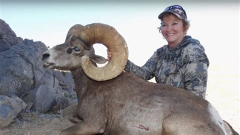 Hunting Desert Bighorn Sheep in Nevada - Sue Ann Kinney - MossBack - YouTube